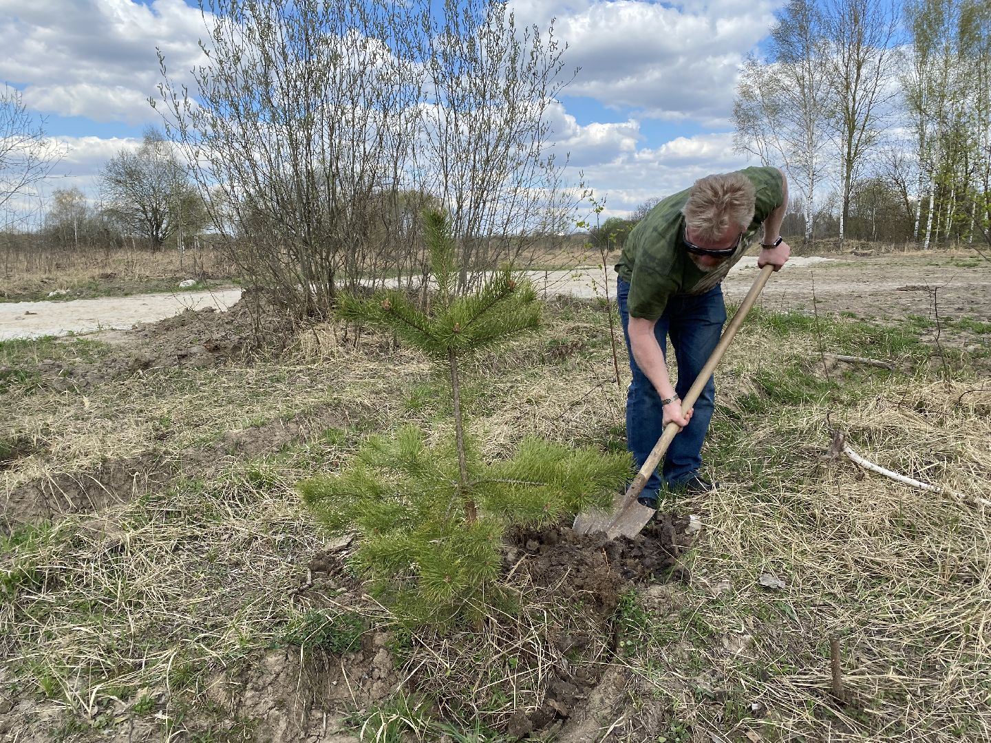 Чехов, благоустройство, парк, житель, дерево