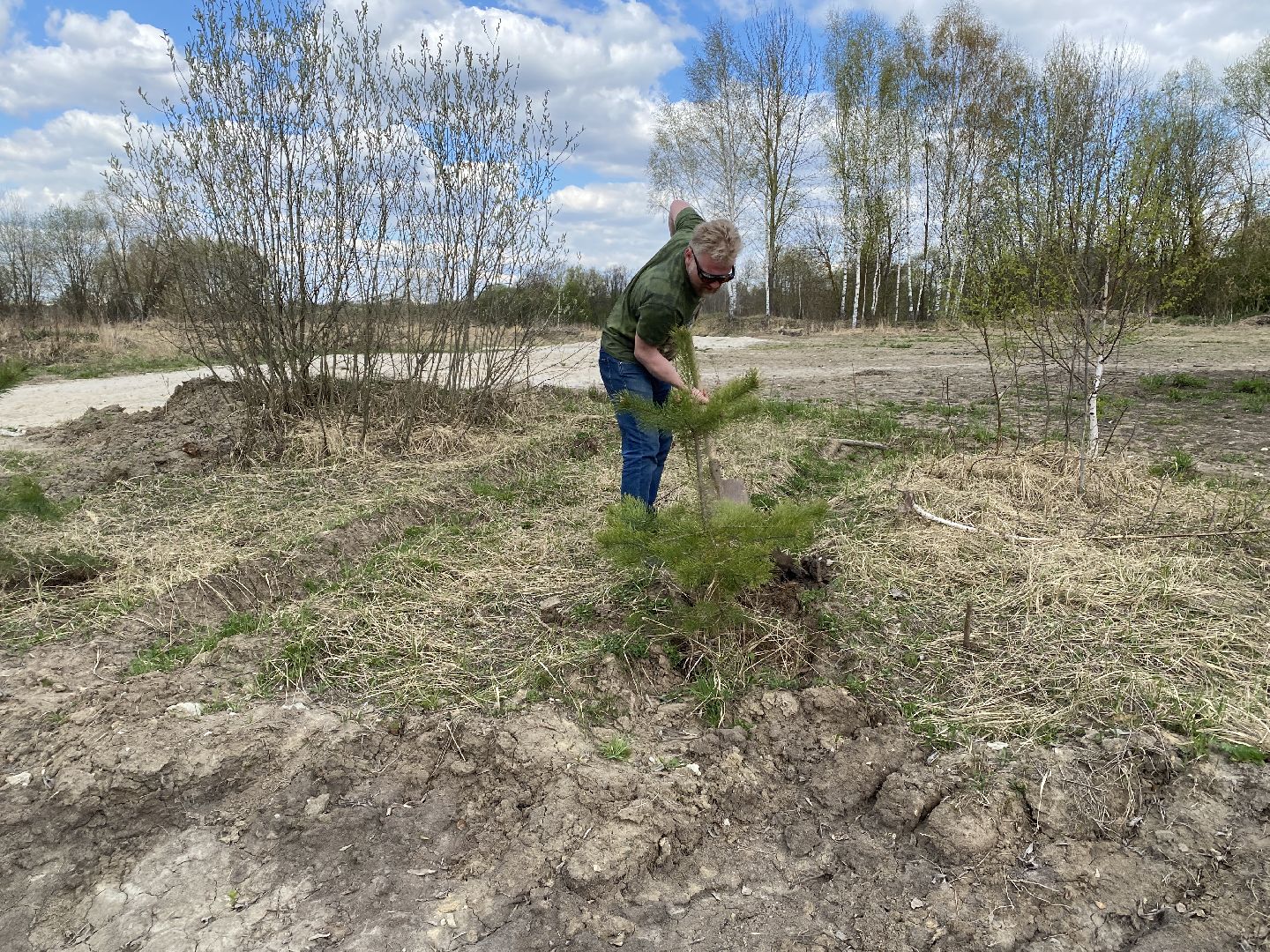 Чехов, благоустройство, парк, житель, дерево