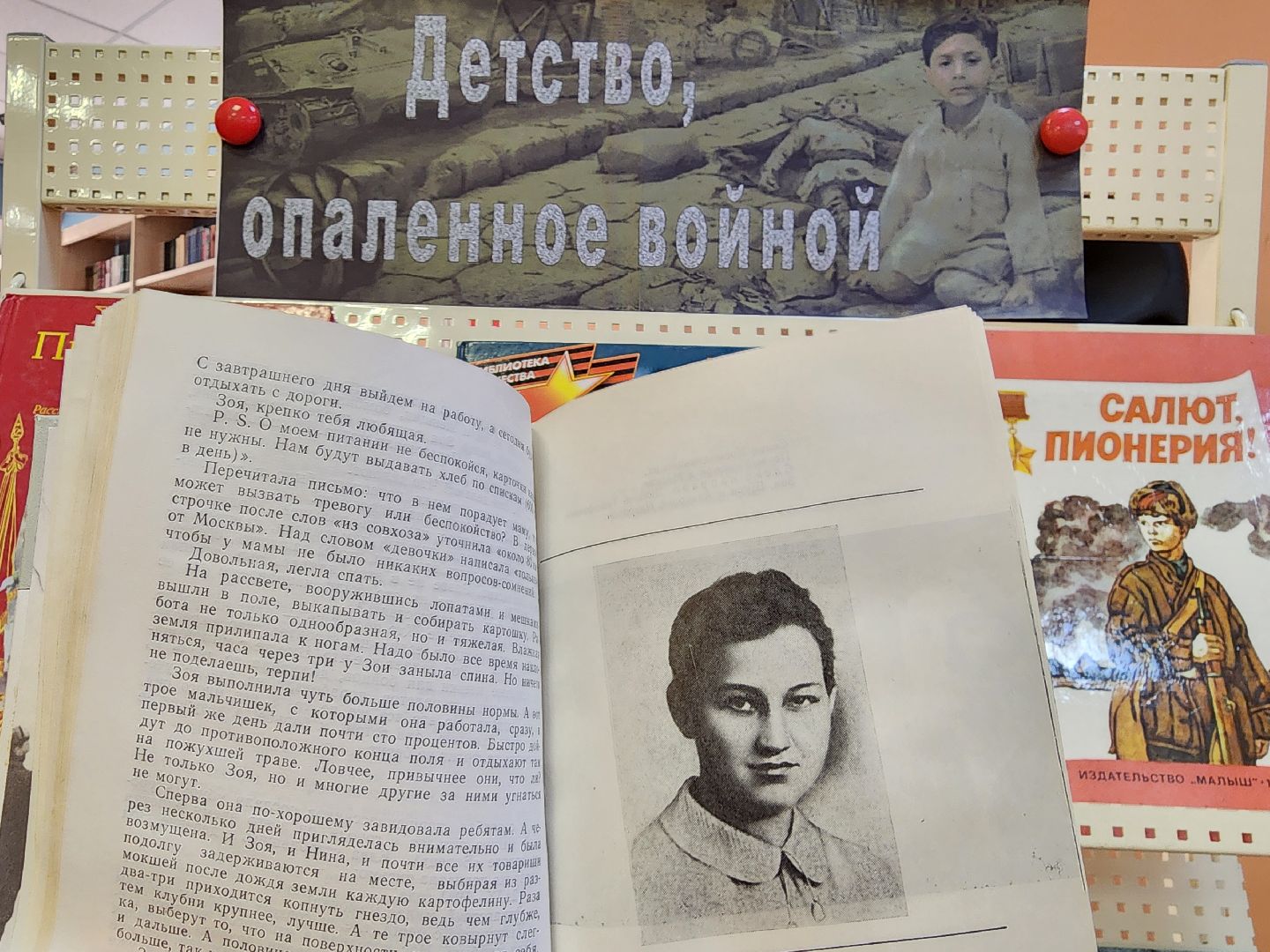 вертикалки, луховицы, библиотека,