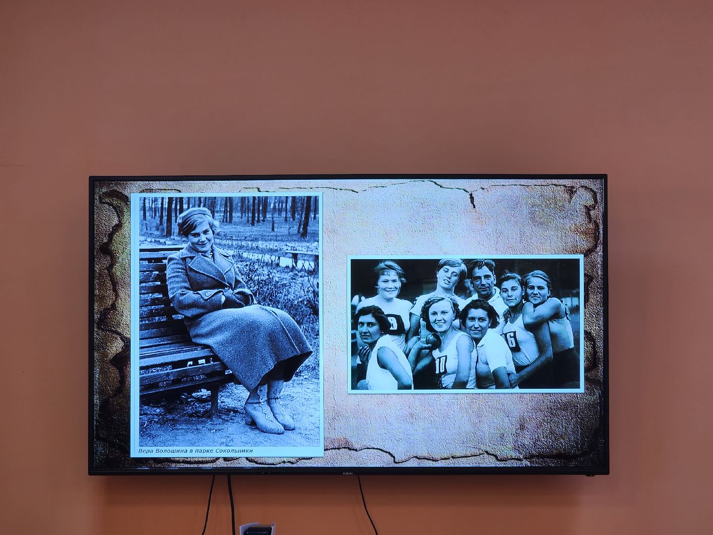 вертикалки, луховицы, библиотека,