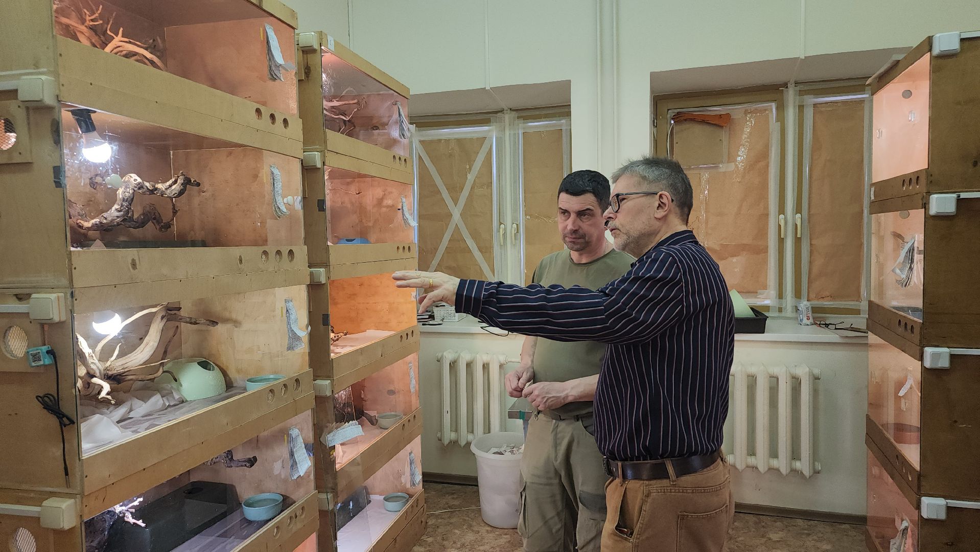 волоколамск, змеи, люди, советы герпетолога,