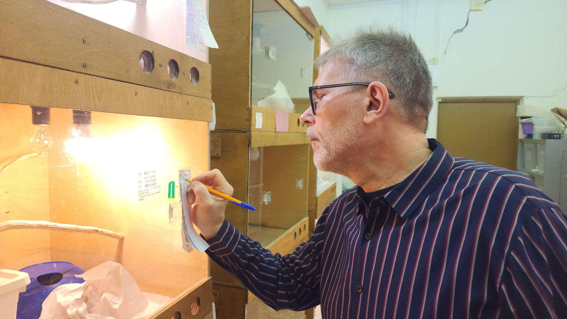 волоколамск, змеи, люди, советы герпетолога,