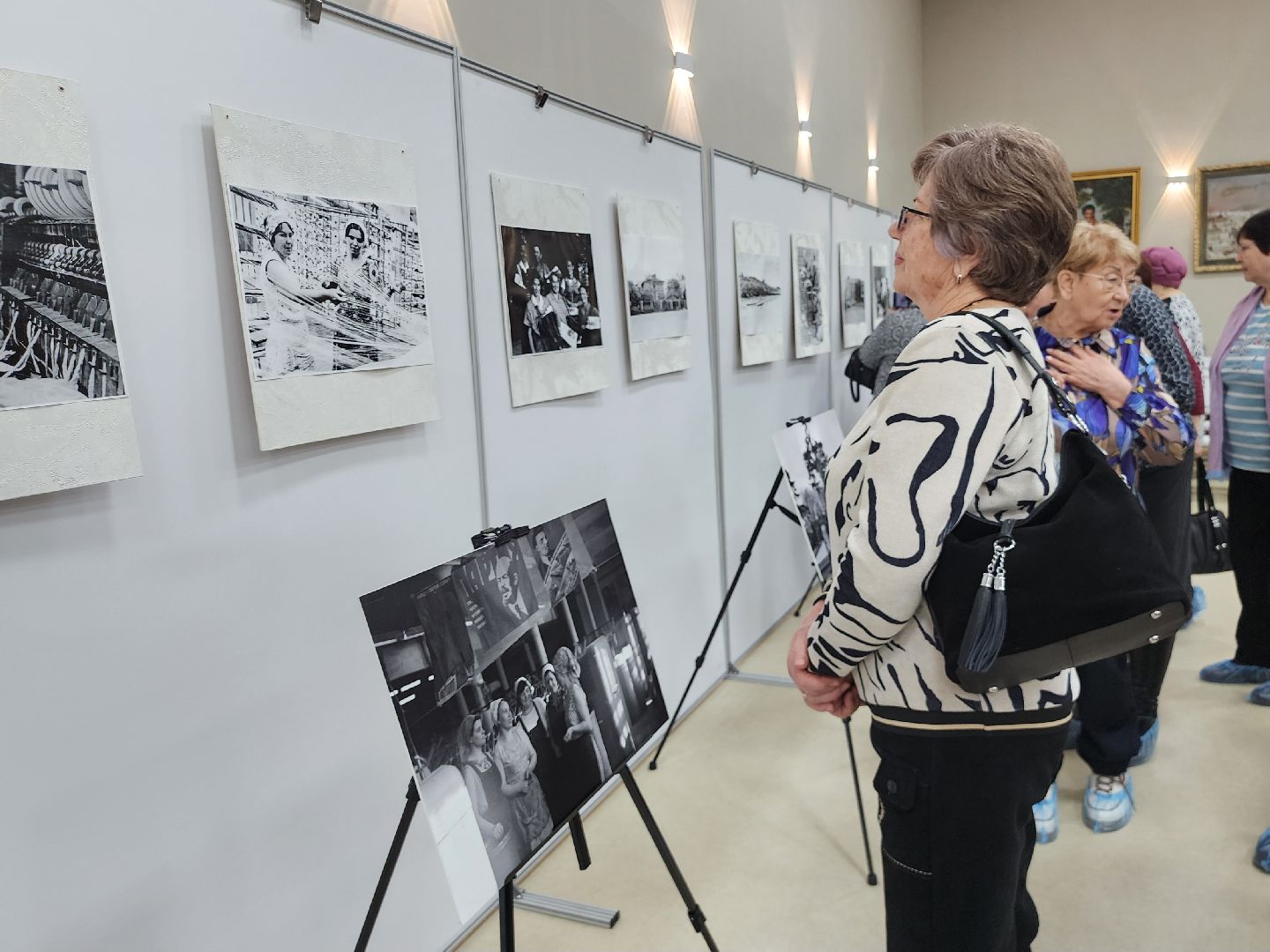 Коломна, Озеры, фотовыставка,