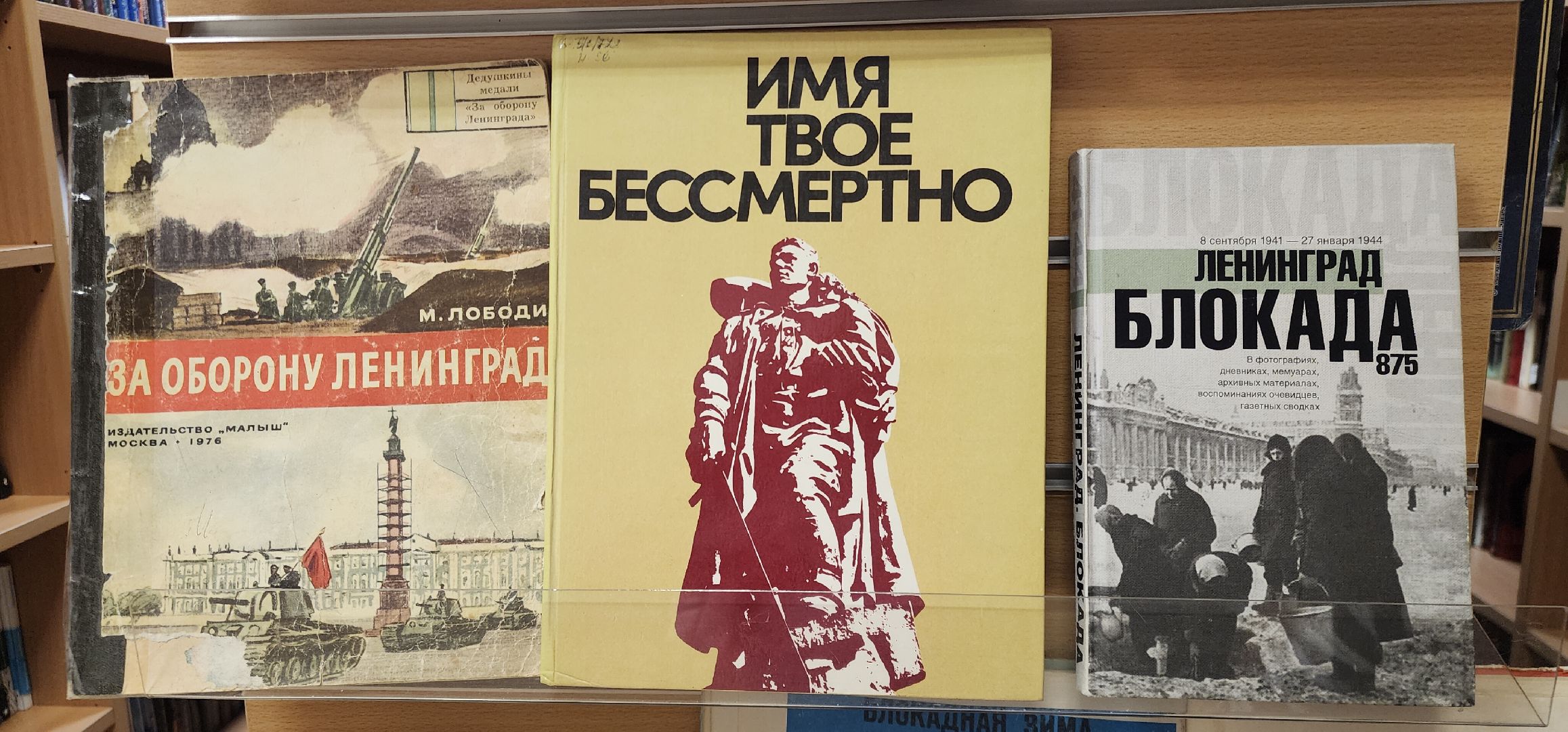 вертикалки, Живопись, образование, 80-я годовщина Победы,