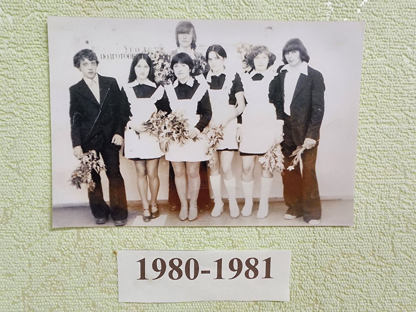 вертикалки, Зарайск, Мендюкинская средняя школа, 45 лет школе,Журавна, юбилей школы, выпускники,