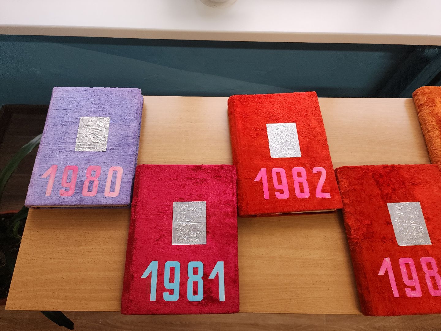 вертикалки, Зарайск, Мендюкинская средняя школа, 45 лет школе,Журавна, юбилей школы, выпускники,