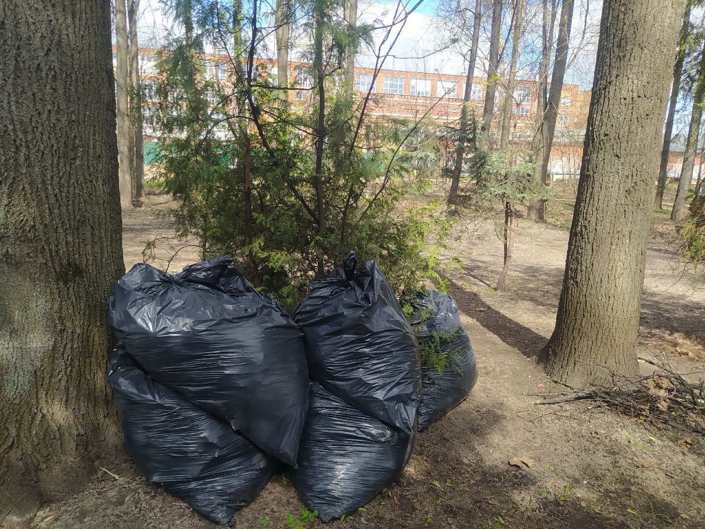 Дедовск, субботник, парк, благоустройство, уборка