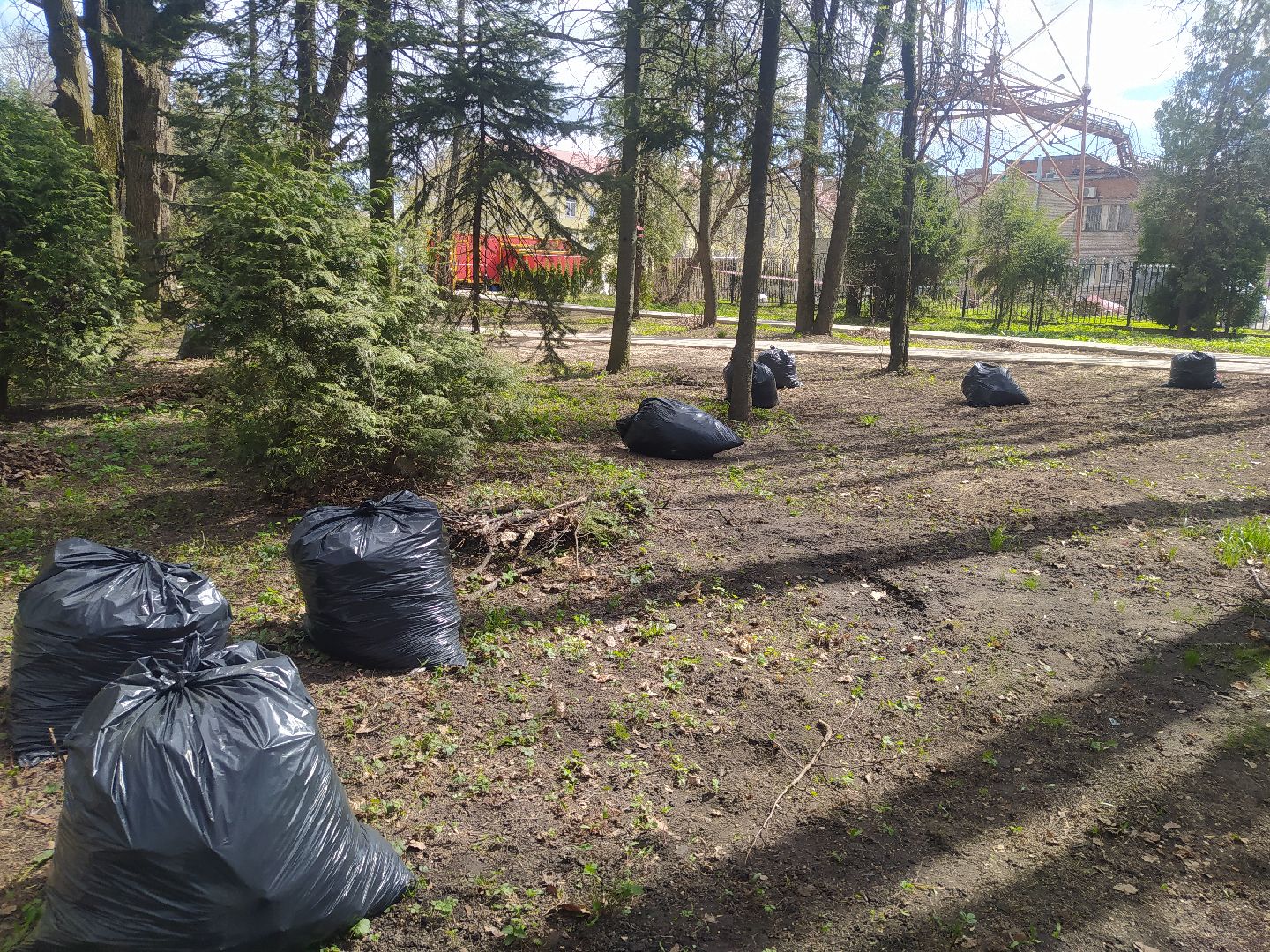 Дедовск, субботник, парк, благоустройство, уборка