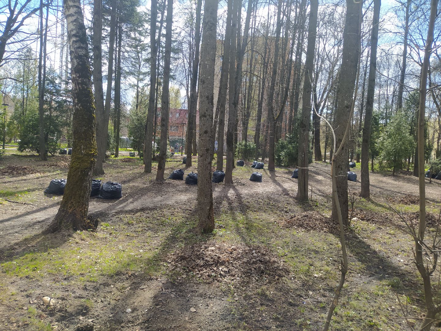 Дедовск, субботник, парк, благоустройство, уборка