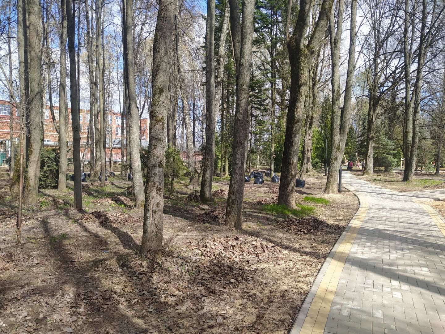 Дедовск, субботник, парк, благоустройство, уборка