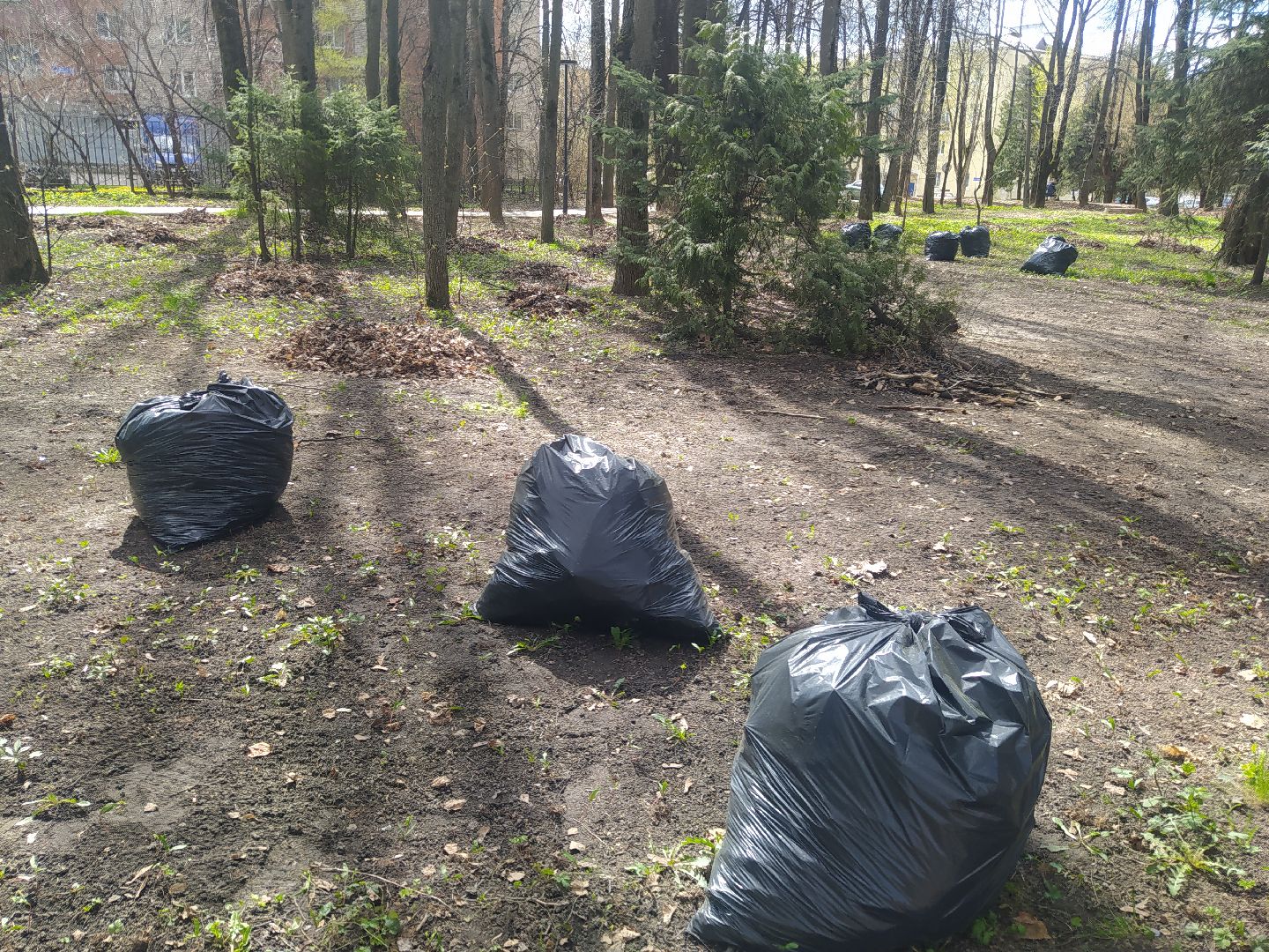Дедовск, субботник, парк, благоустройство, уборка