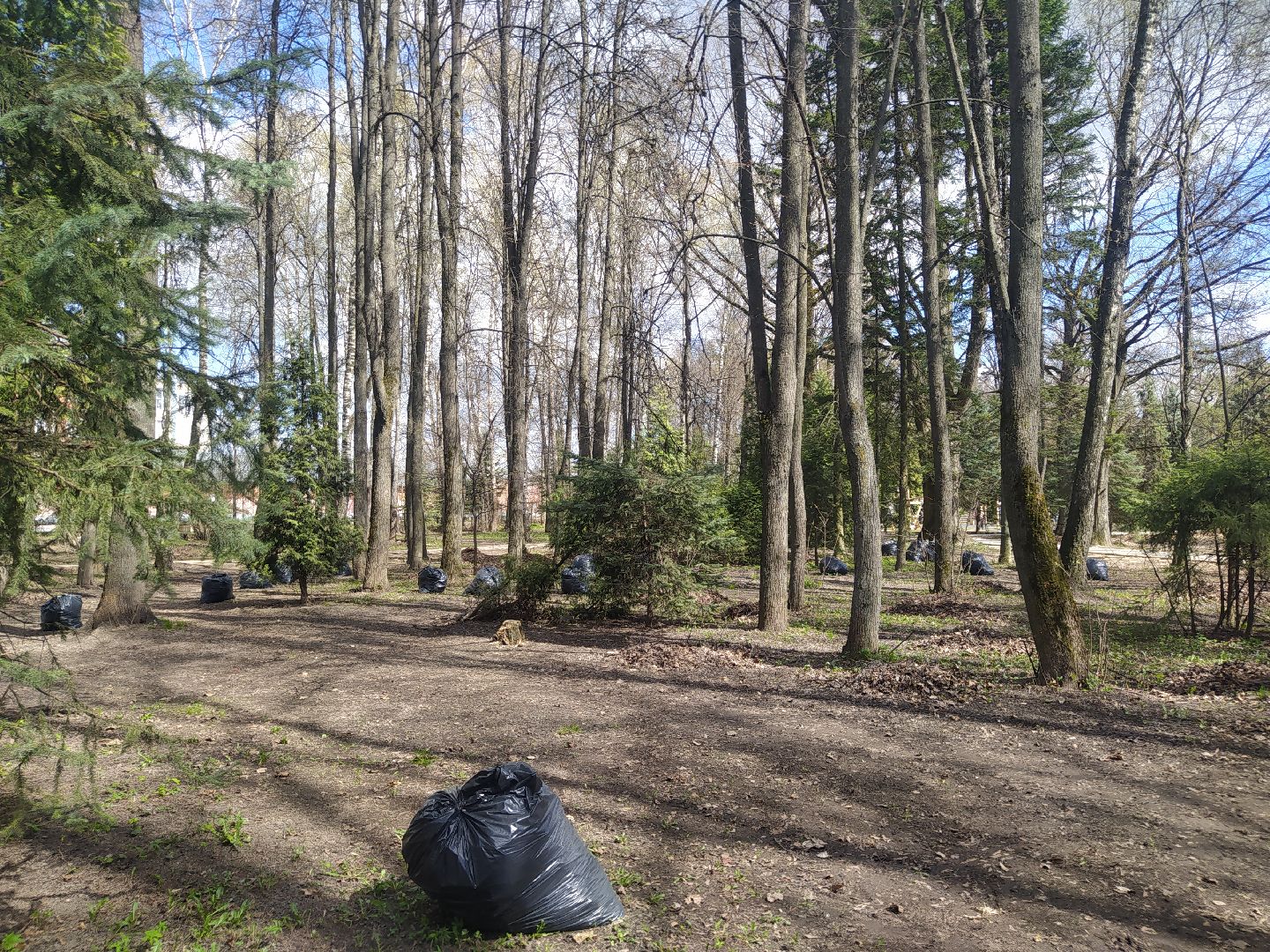 Дедовск, субботник, парк, благоустройство, уборка