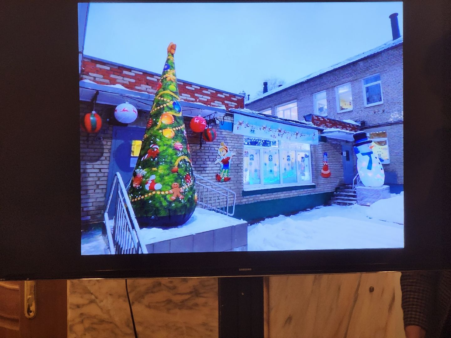 кинологи, благоустройство, новый год, долгопрудный, электрички, вертикалки,