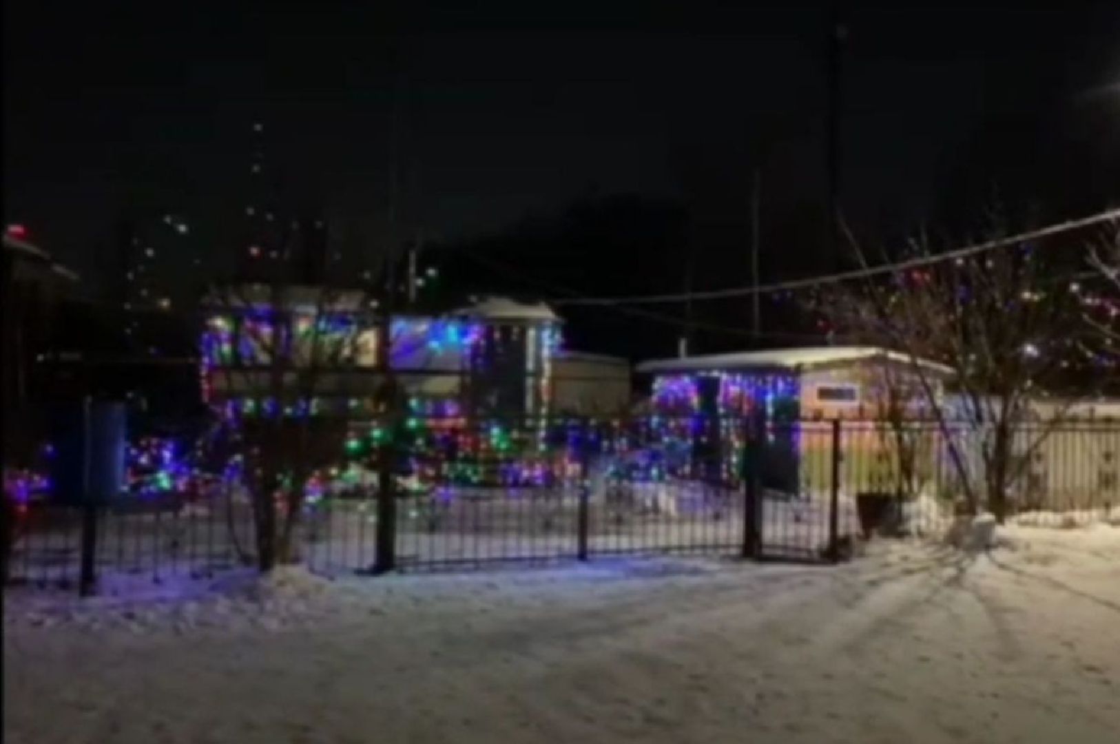 кинологи, благоустройство, новый год, долгопрудный, электрички, вертикалки,