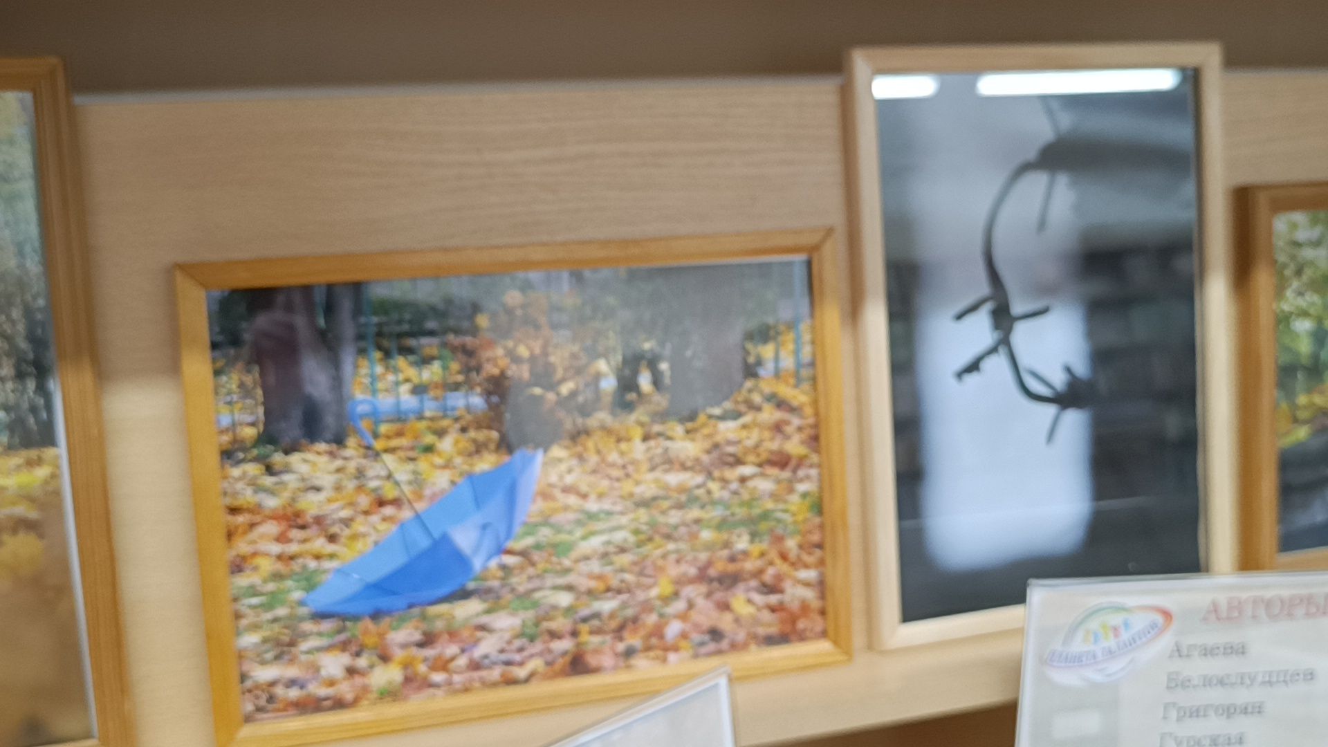 фотовыставка, лобня, дети, вертикалки,