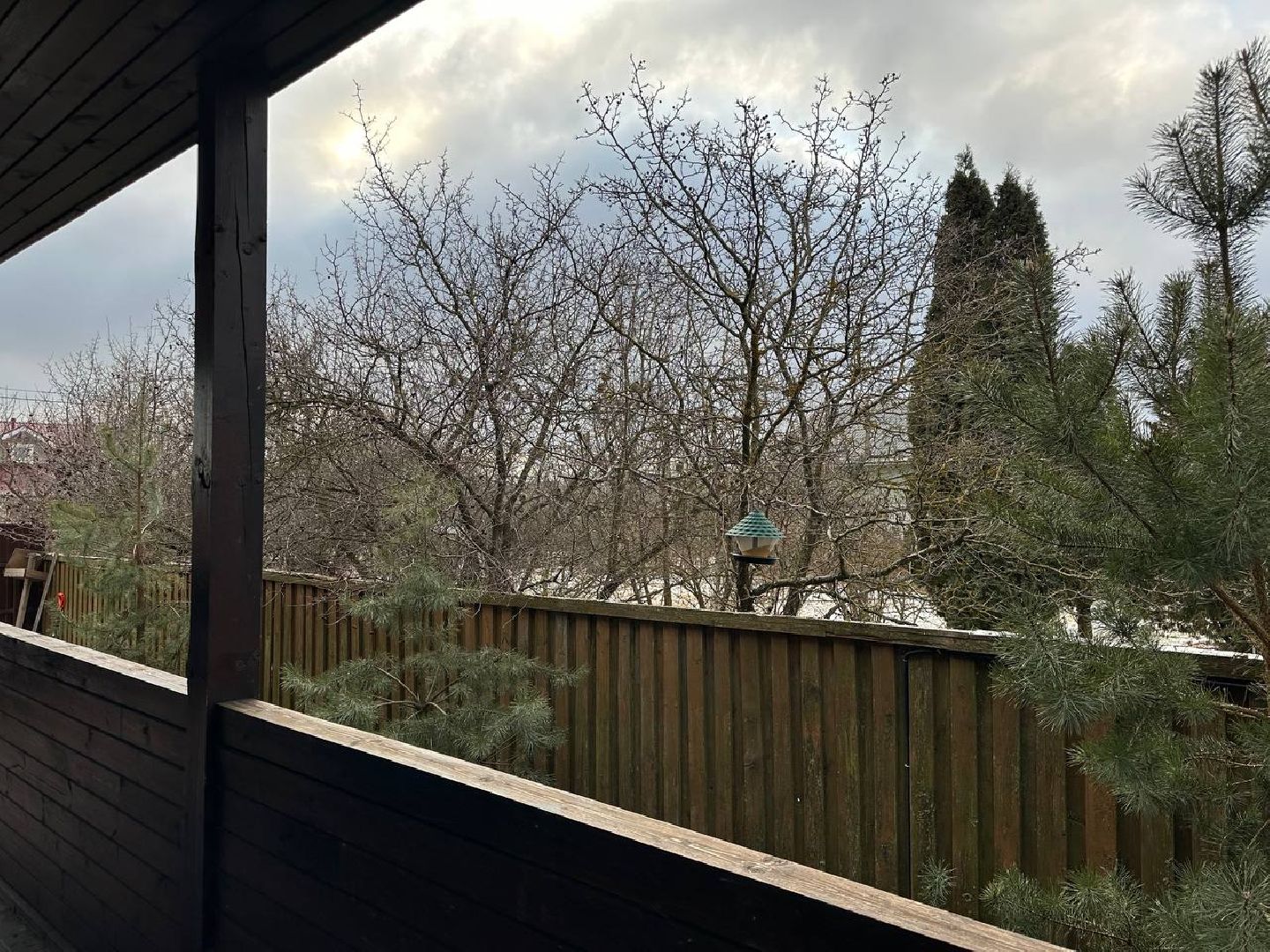 стая воробьев, истра, деревня манихино, птицы подмосковья, вертикалки