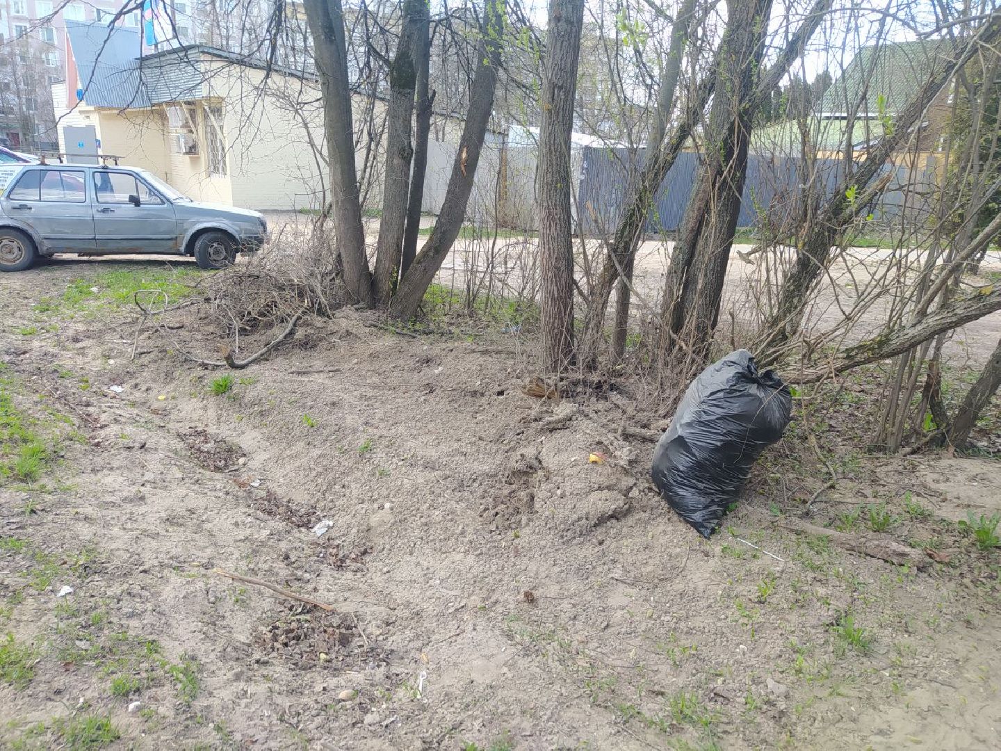 Дедовск, субботник, благоустройство, уборка