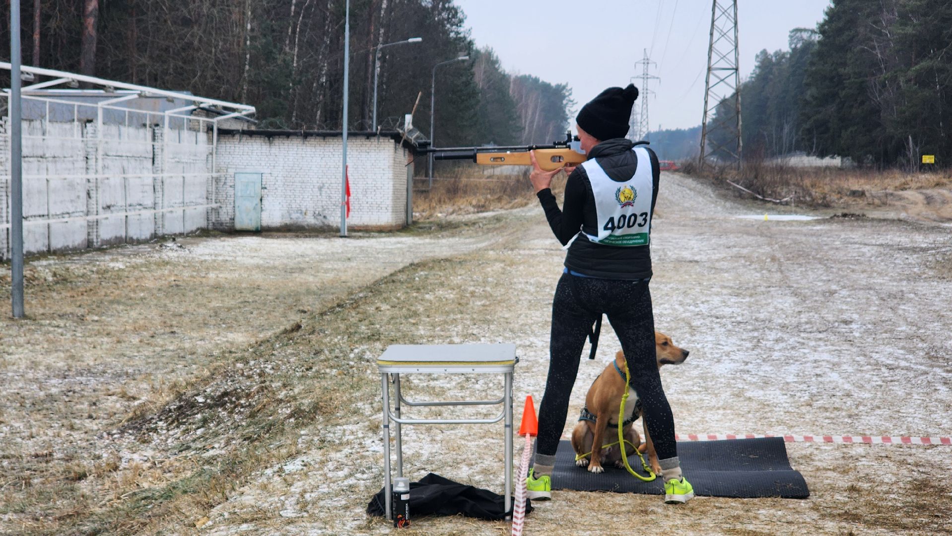 спорт, кинологи, Первенство мо, Протвино,