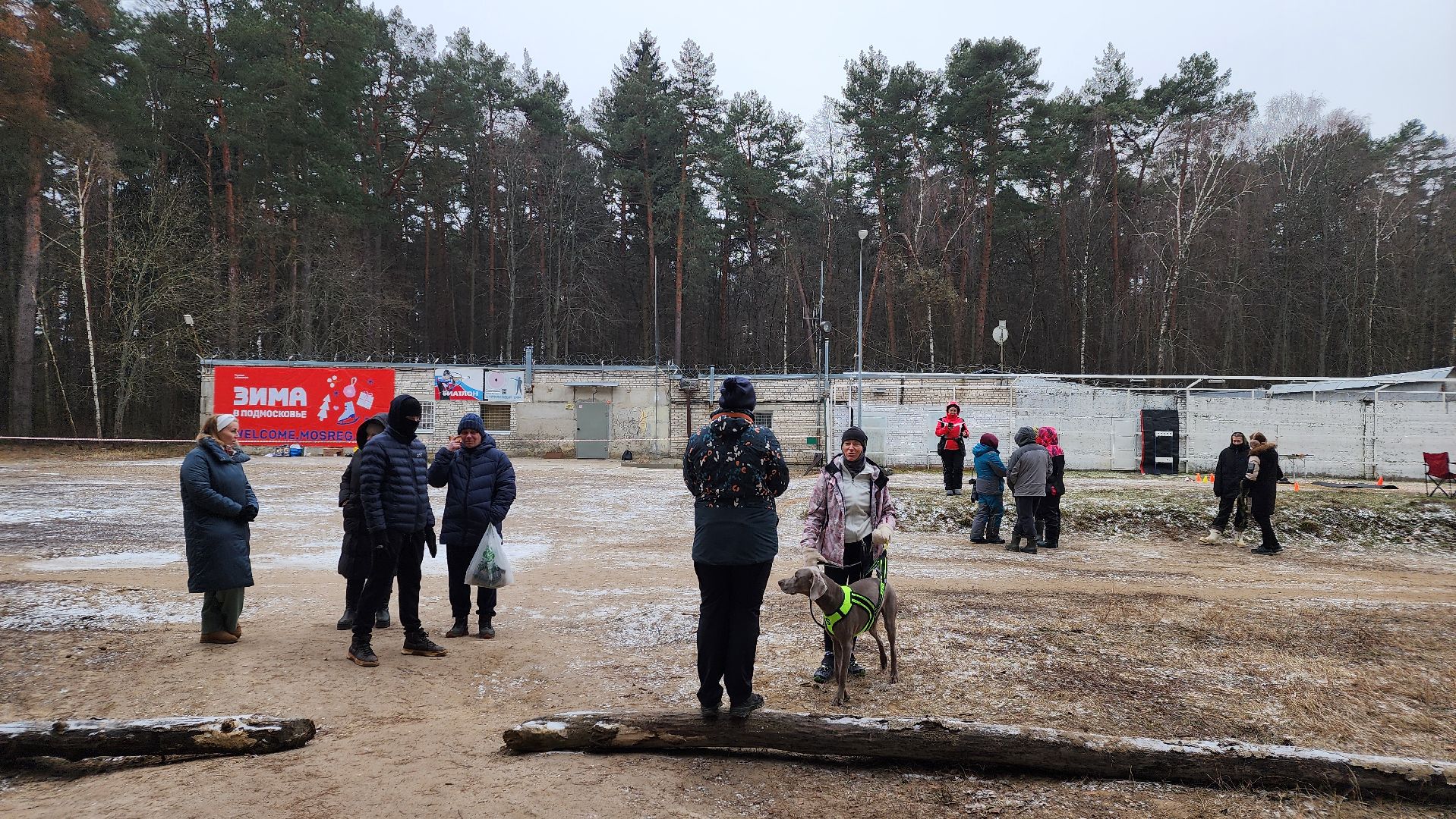 спорт, кинологи, Первенство мо, Протвино,