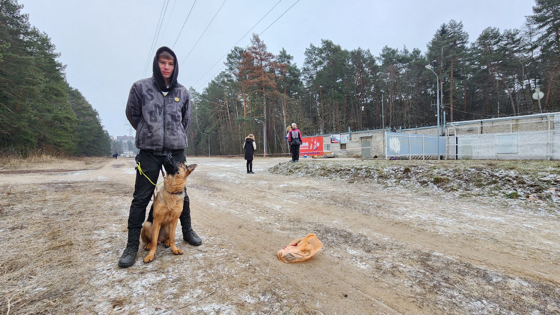 спорт, кинологи, Первенство мо, Протвино,