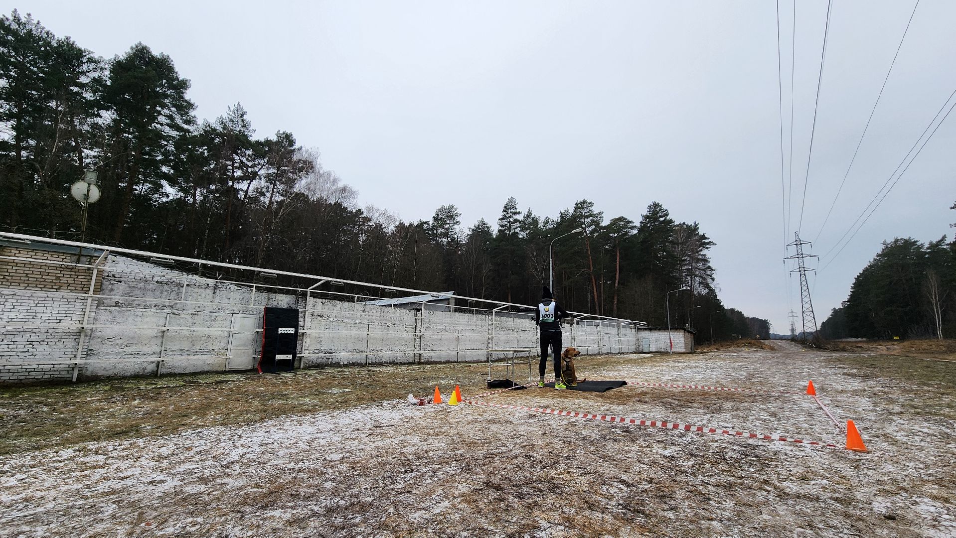 спорт, кинологи, Первенство мо, Протвино,