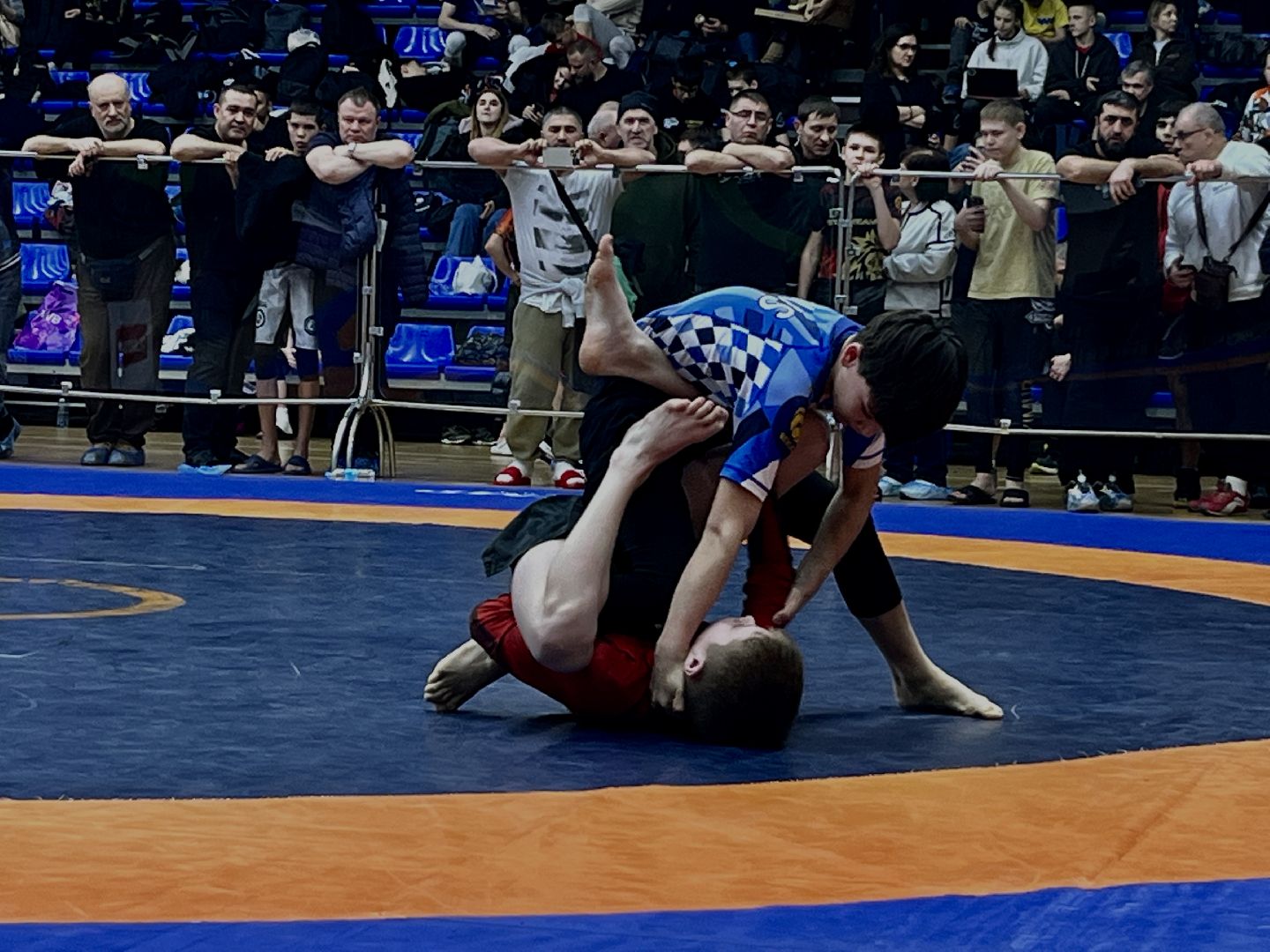 вертикалки, грэпплинг, грэпплинг-ги, наро-фоминск, кск нара, отбор на европу, наро-фоминский городской округ,