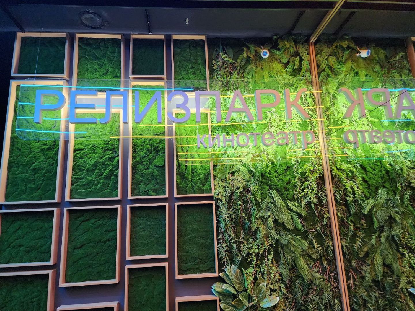 солнечногорск, кинотеатр, жители, вертикалки, залы,