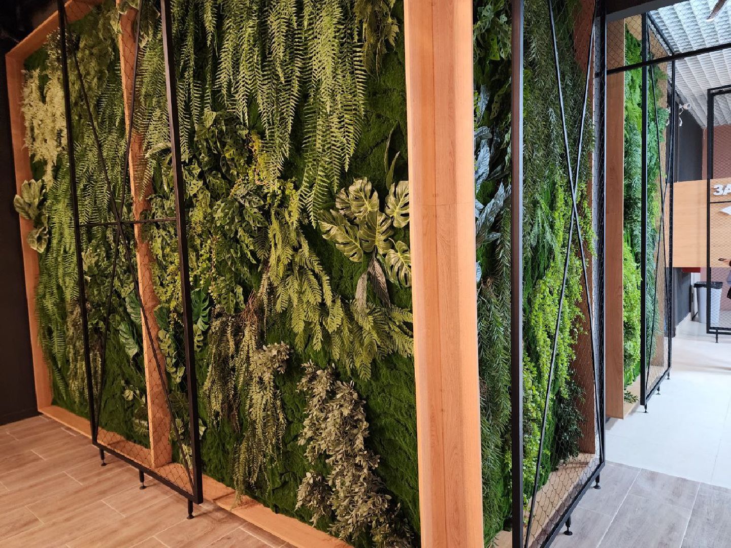 солнечногорск, кинотеатр, жители, вертикалки, залы,