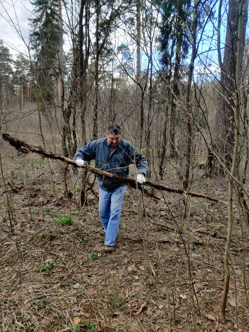 Красноармейск, Пушкинский, субботник, бульвар Зубова, люди