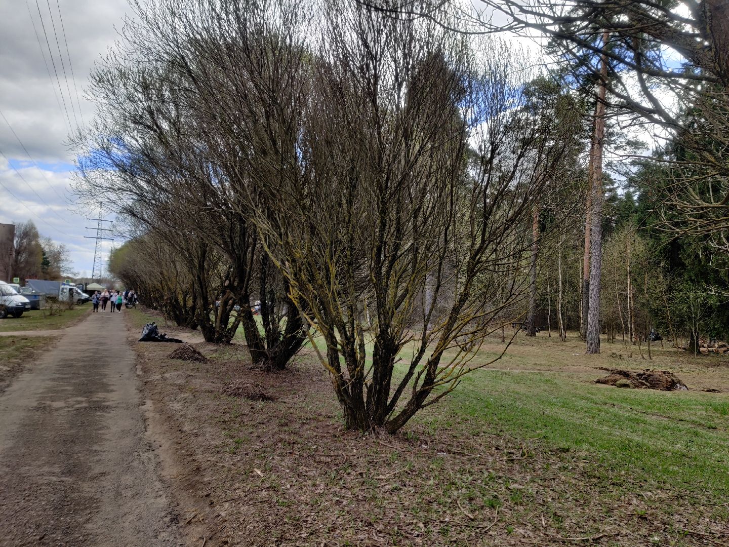 Красноармейск, Пушкинский, субботник, бульвар Зубова, люди