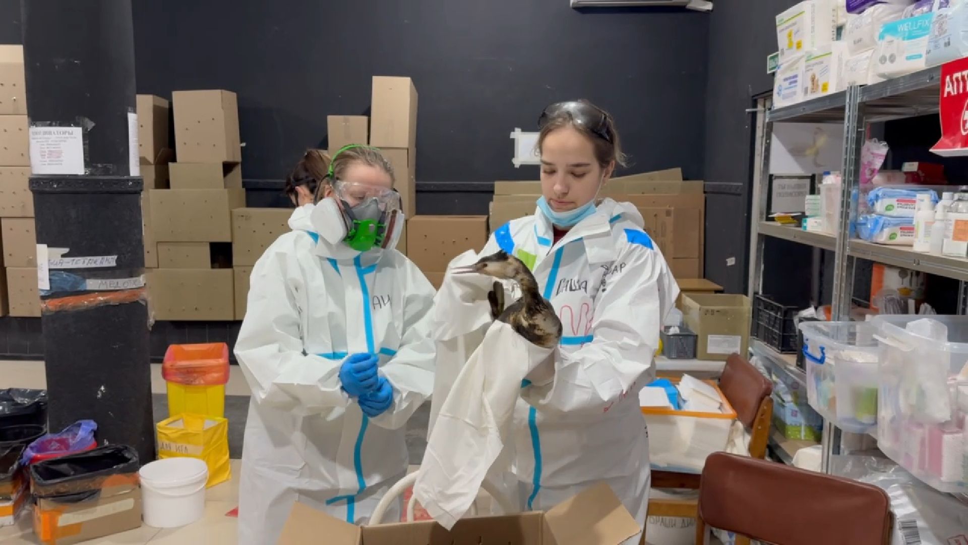 вертикалки, Бронницы, Волонтры Подмосковья, Волонтеры Подмосковья помогают в Анапе,