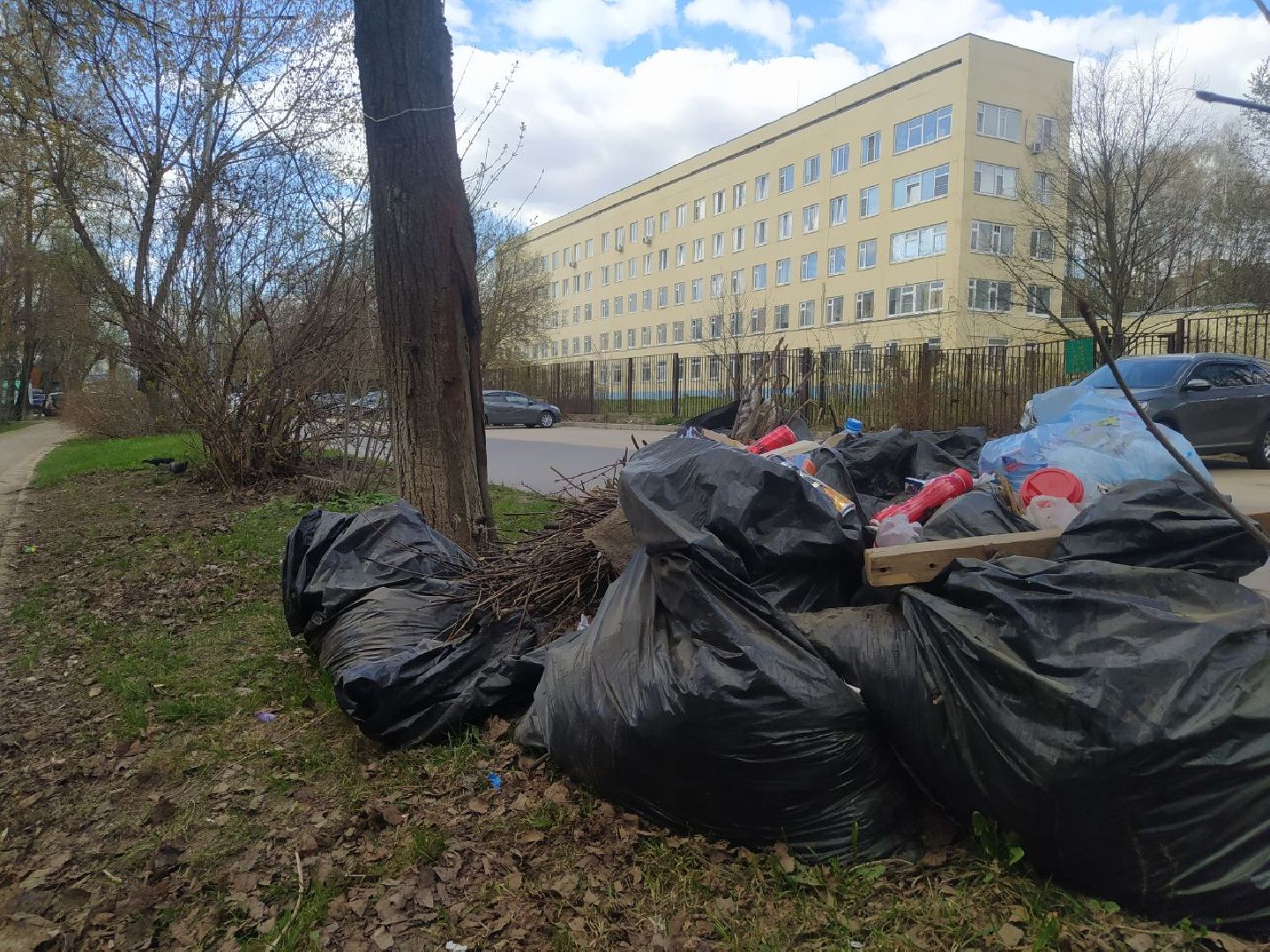 субботник, Дедовск, благоустройство, уборка
