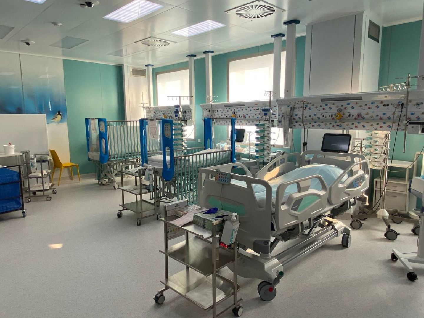 вертикалки, реанимация, клиническийцентрименирошаля, реаниматолог, детскаяреанимация,