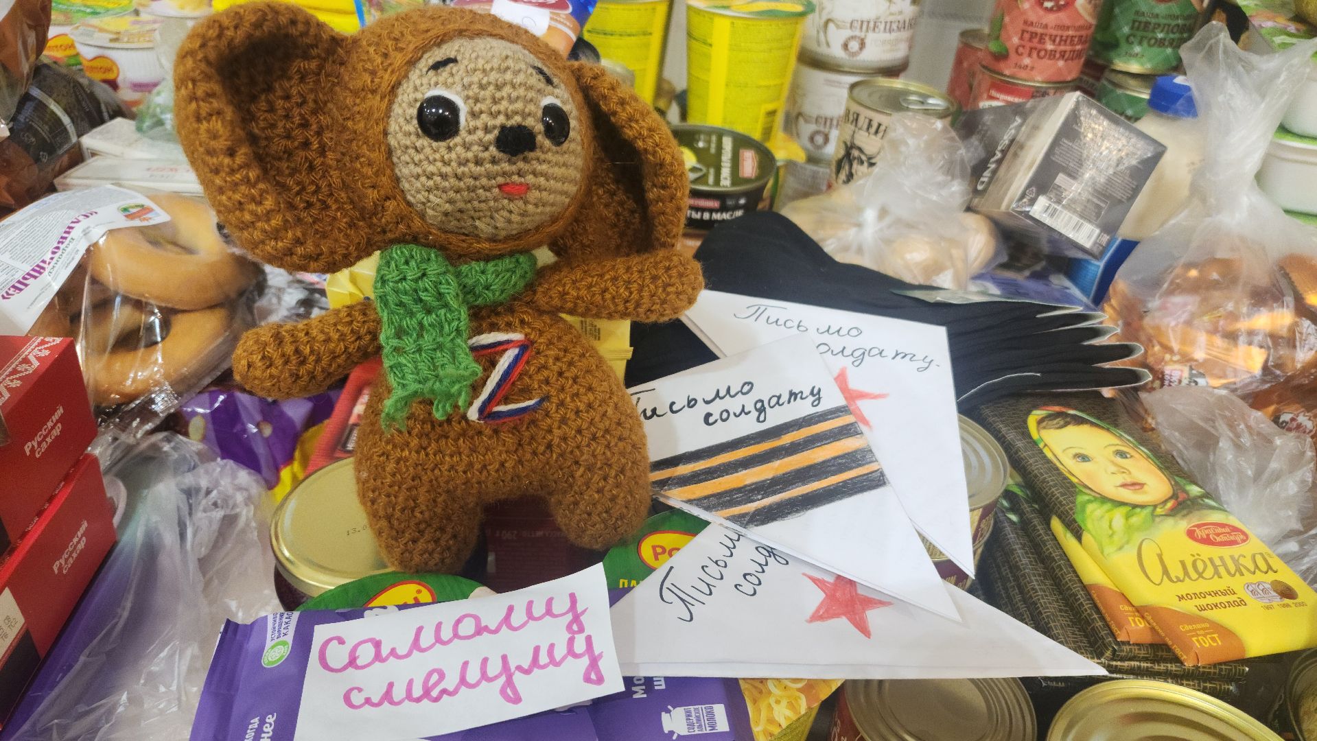 сво, благотворительный концерт, волоколамск, волонтеры подмосковья,