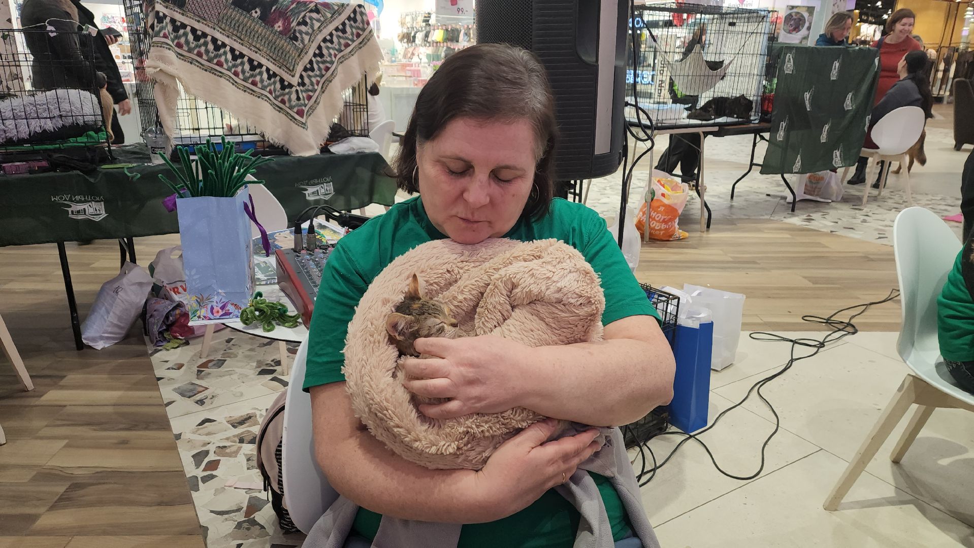 пушкино, волонтерская деятельность, бездомные животные, пристройство, трц, кошки, собаки, вертикалка,