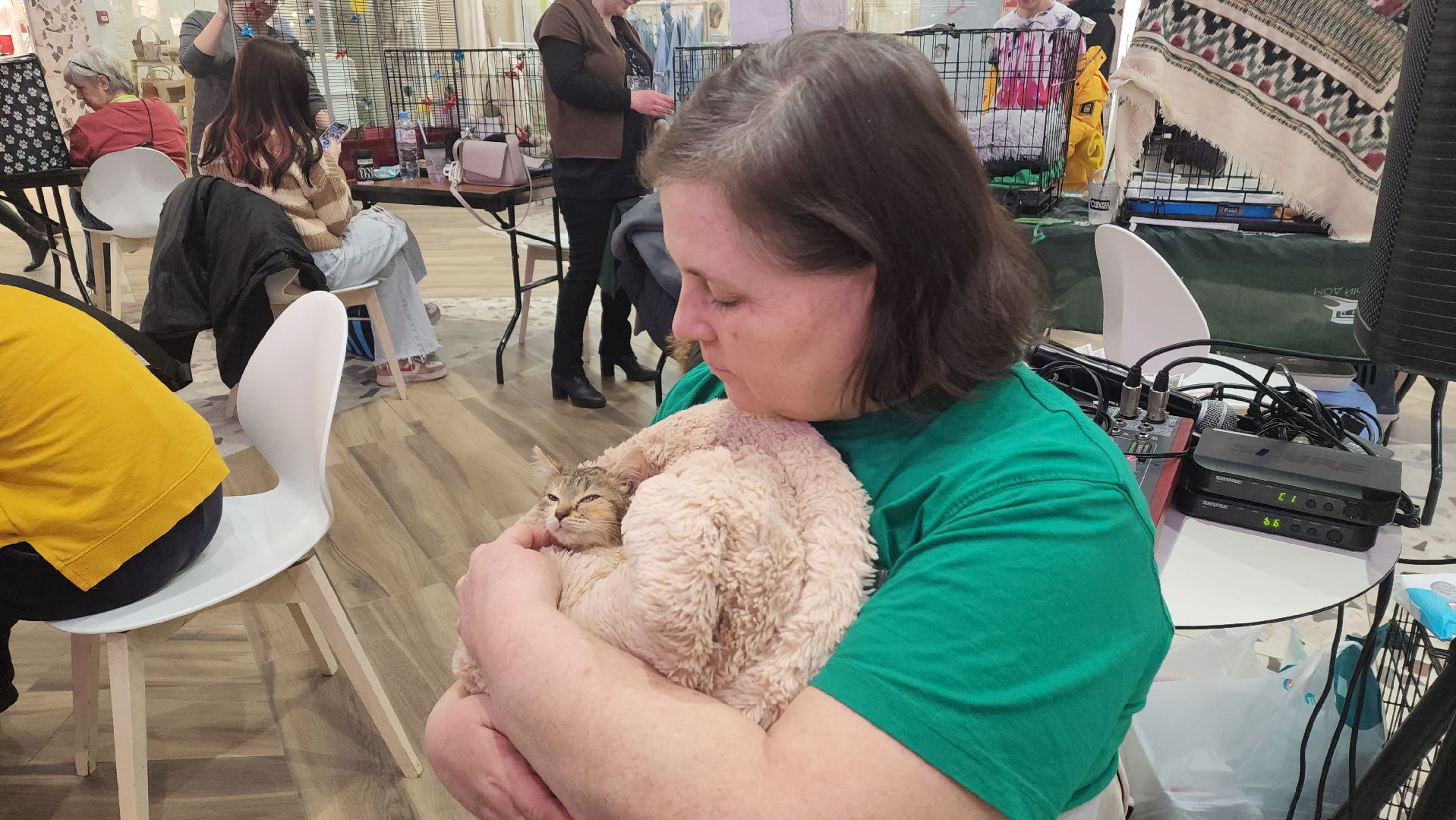 пушкино, волонтерская деятельность, бездомные животные, пристройство, трц, кошки, собаки, вертикалка,