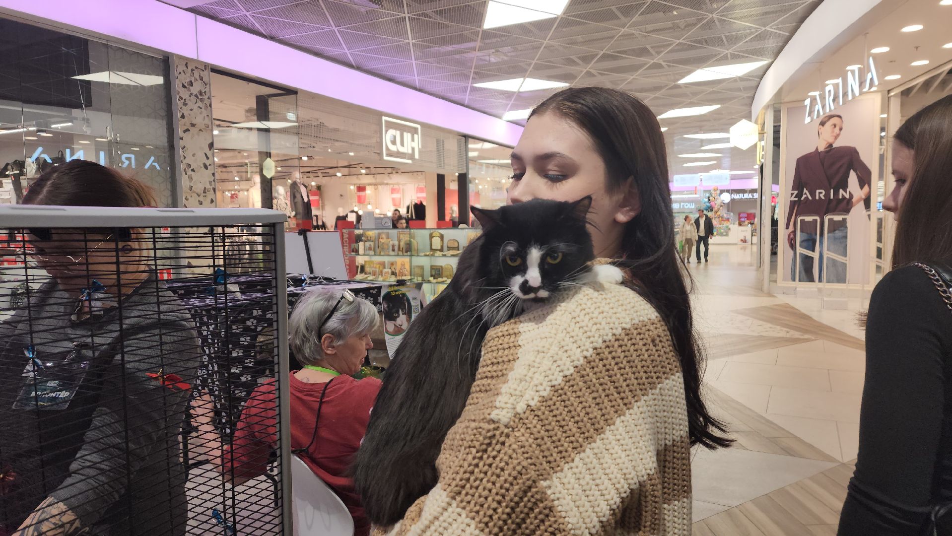 пушкино, волонтерская деятельность, бездомные животные, пристройство, трц, кошки, собаки, вертикалка,