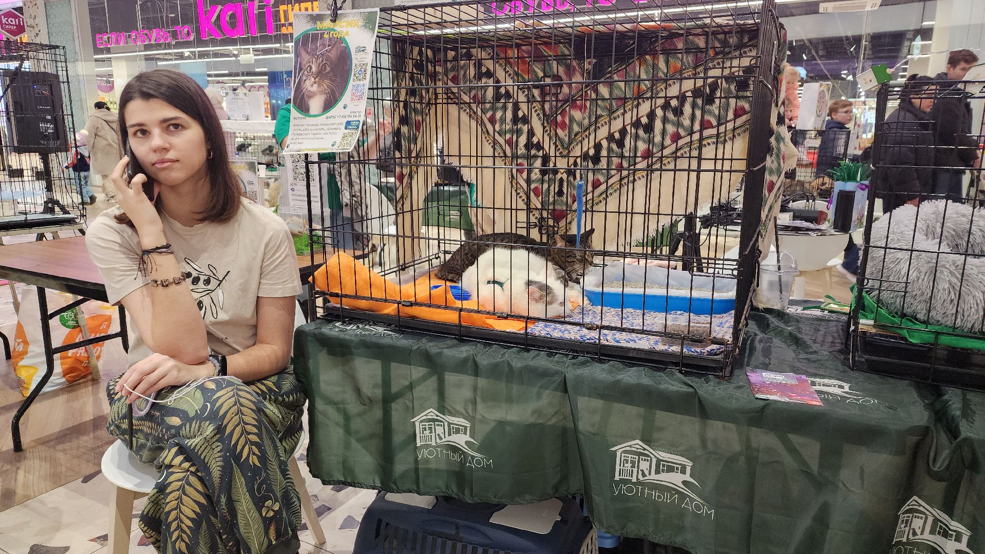 пушкино, волонтерская деятельность, бездомные животные, пристройство, трц, кошки, собаки, вертикалка,