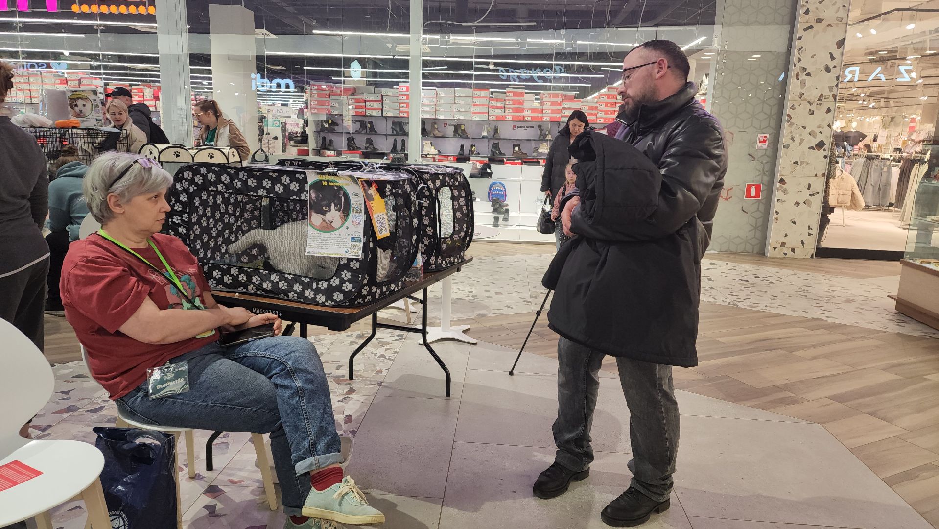 пушкино, волонтерская деятельность, бездомные животные, пристройство, трц, кошки, собаки, вертикалка,