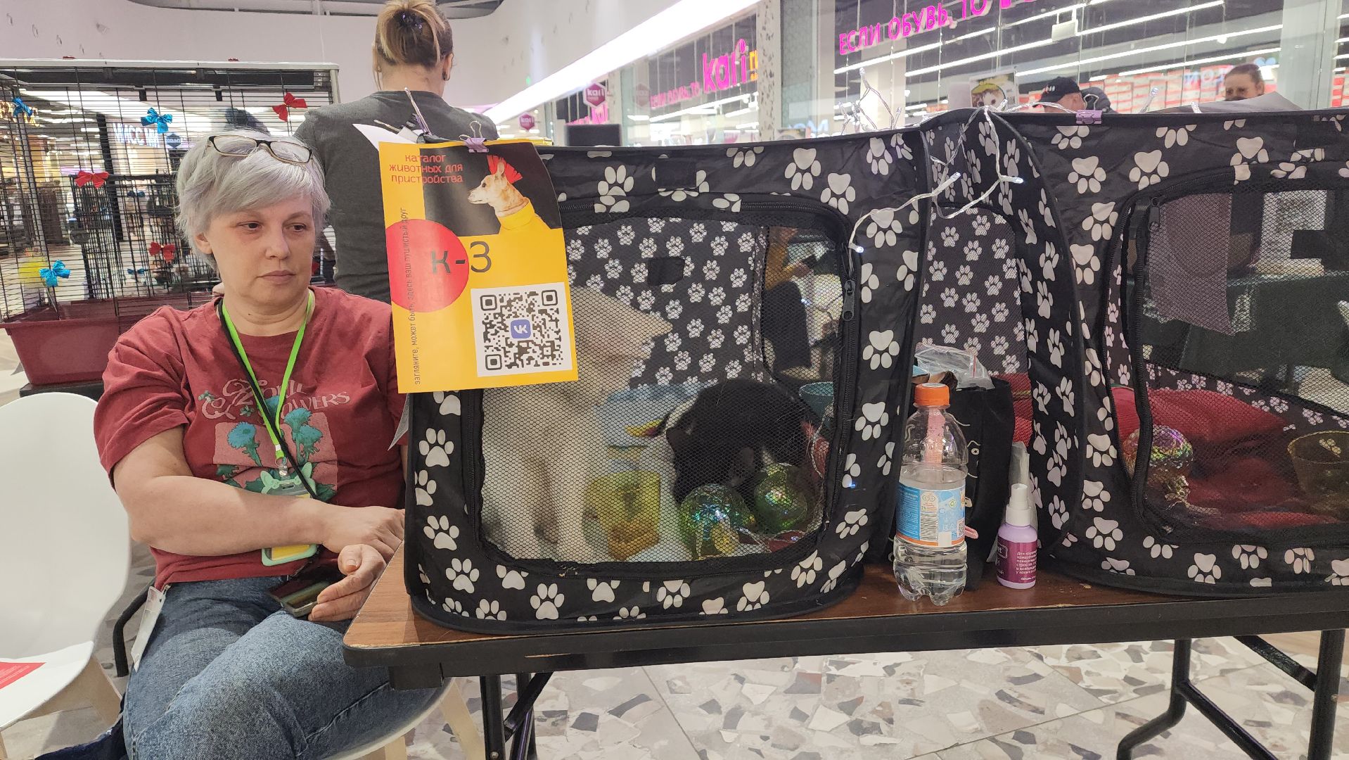 пушкино, волонтерская деятельность, бездомные животные, пристройство, трц, кошки, собаки, вертикалка,