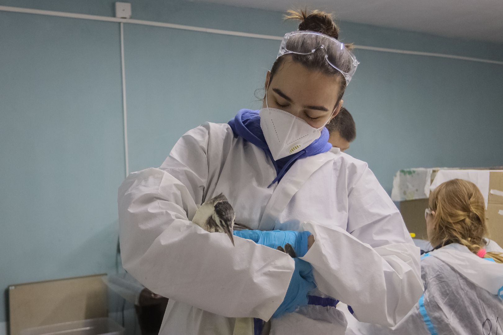 серпухов, подмосковье, МГЕР, волонтеры, черное море,