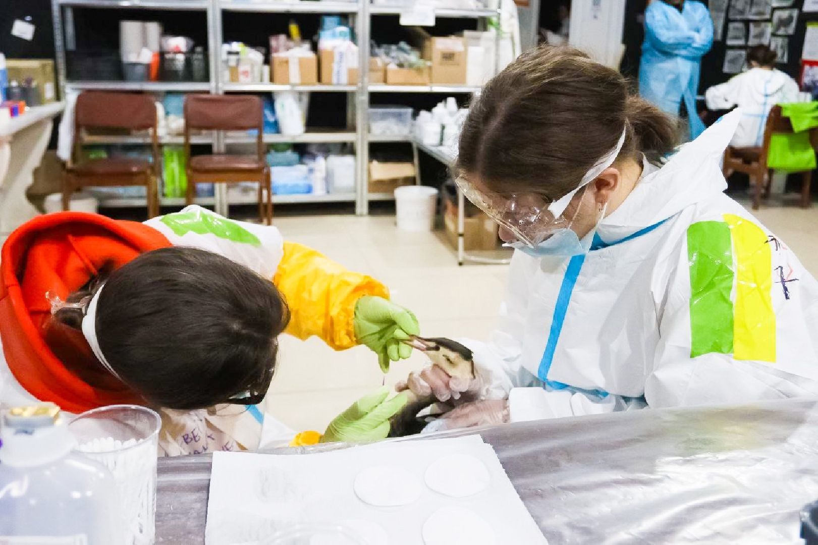 серпухов, подмосковье, МГЕР, волонтеры, черное море,