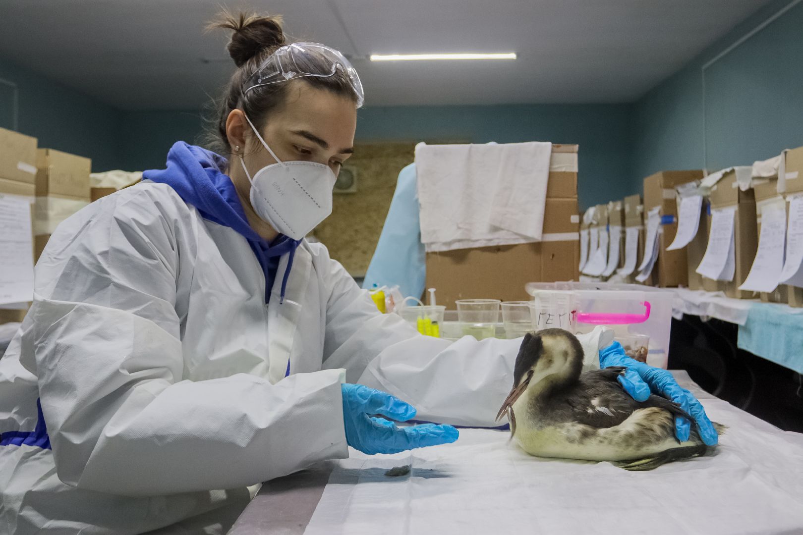 серпухов, подмосковье, МГЕР, волонтеры, черное море,