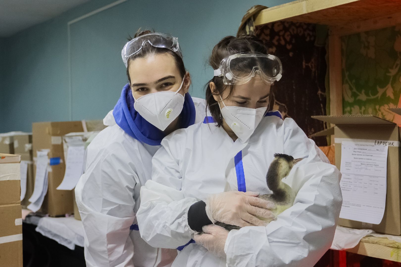 серпухов, подмосковье, МГЕР, волонтеры, черное море,