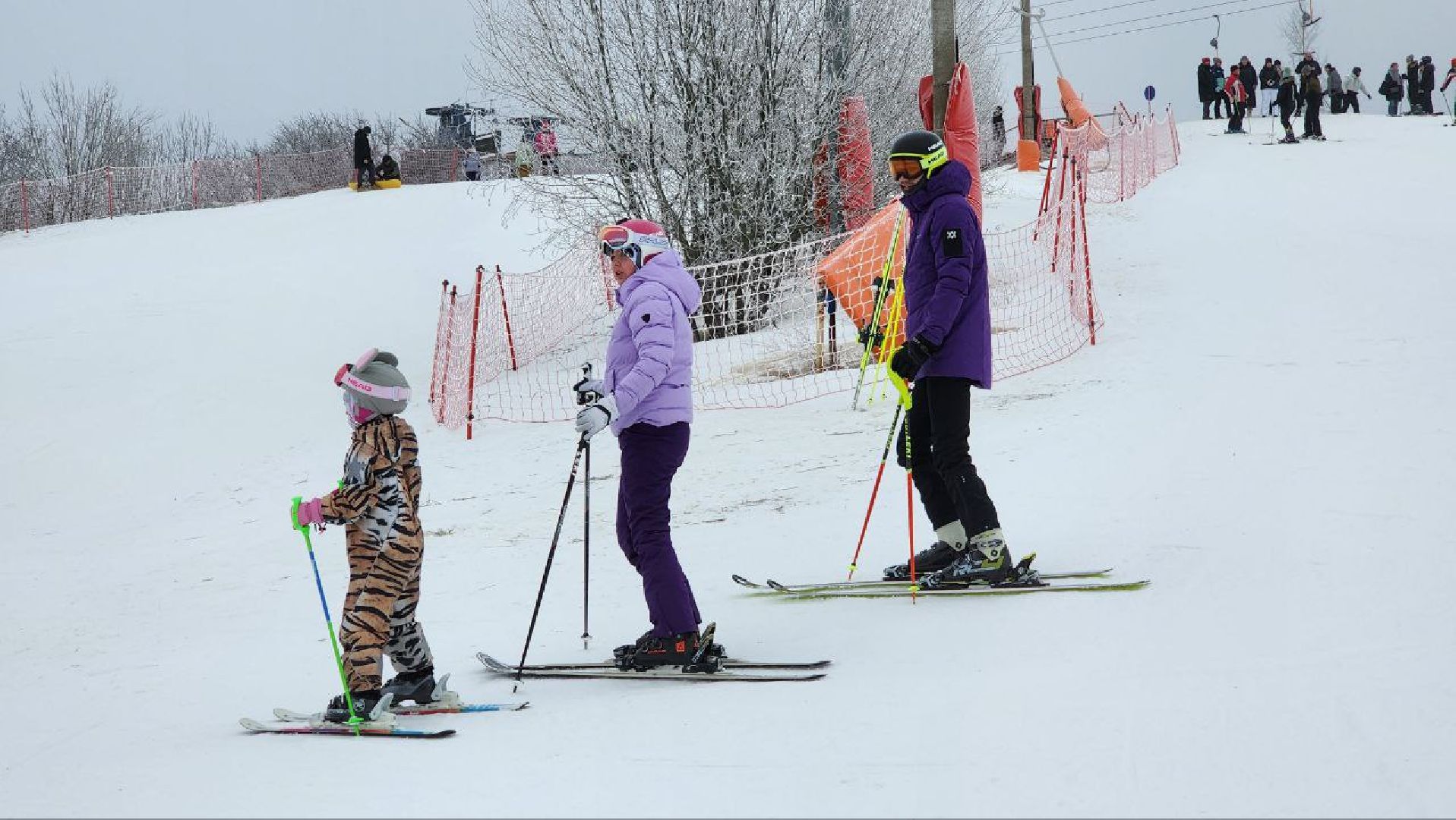 Дмитров, Парк Волен, Минтуризма, вертикалки,