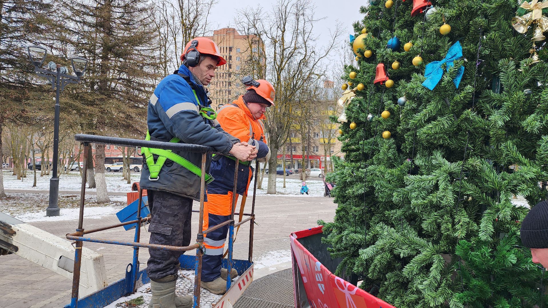 истра, благоустройство, демонтаж елок, вертикалки,