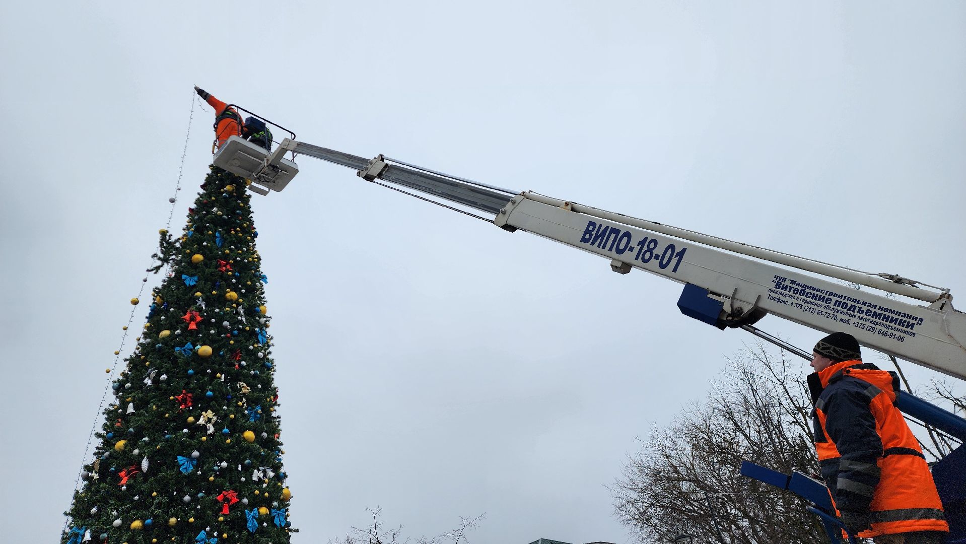 истра, благоустройство, демонтаж елок, вертикалки,