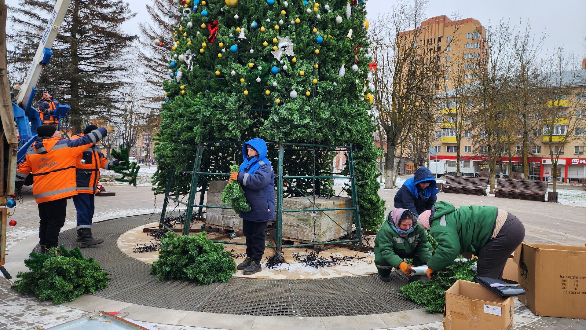 истра, благоустройство, демонтаж елок, вертикалки,