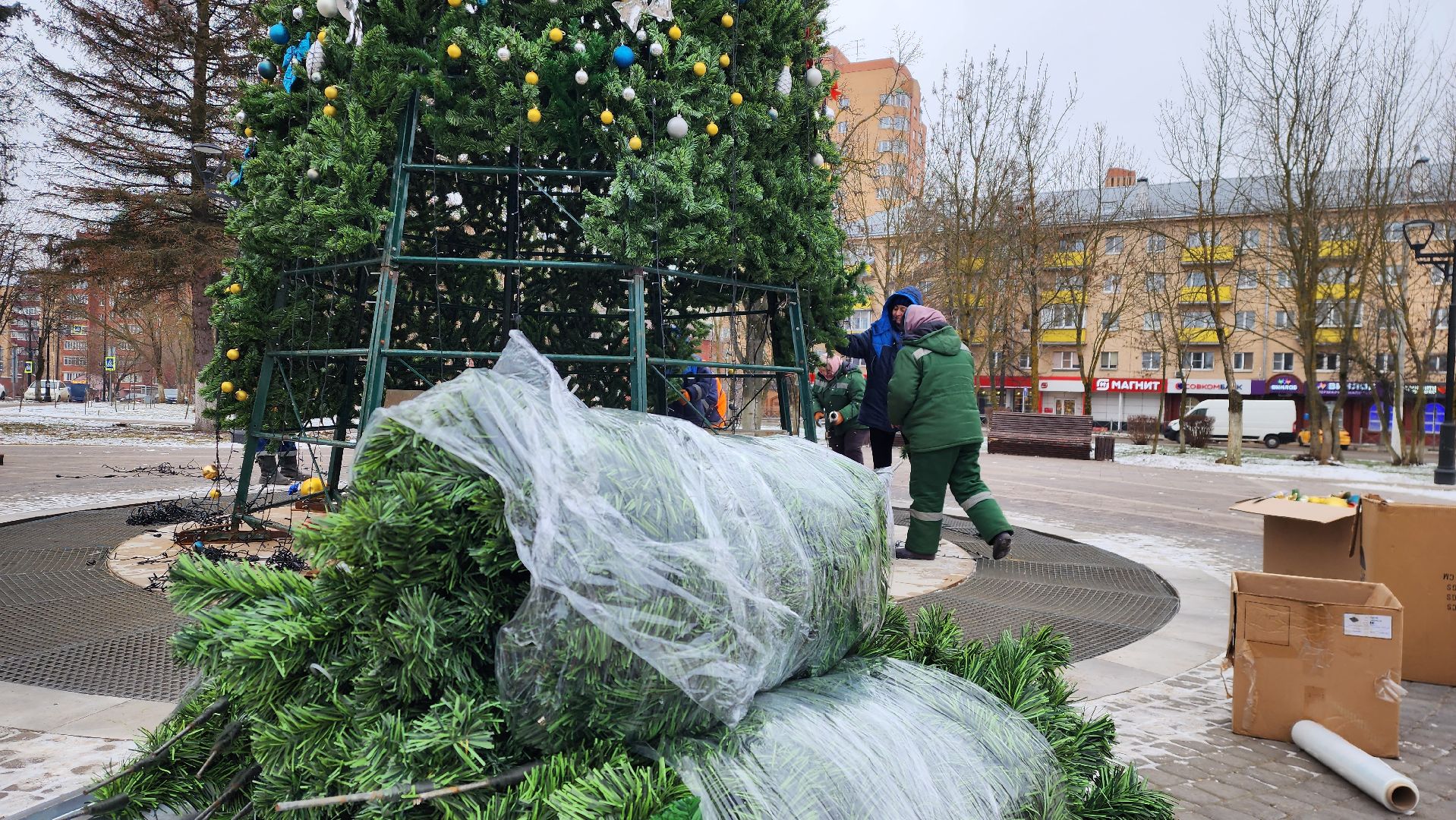 истра, благоустройство, демонтаж елок, вертикалки,