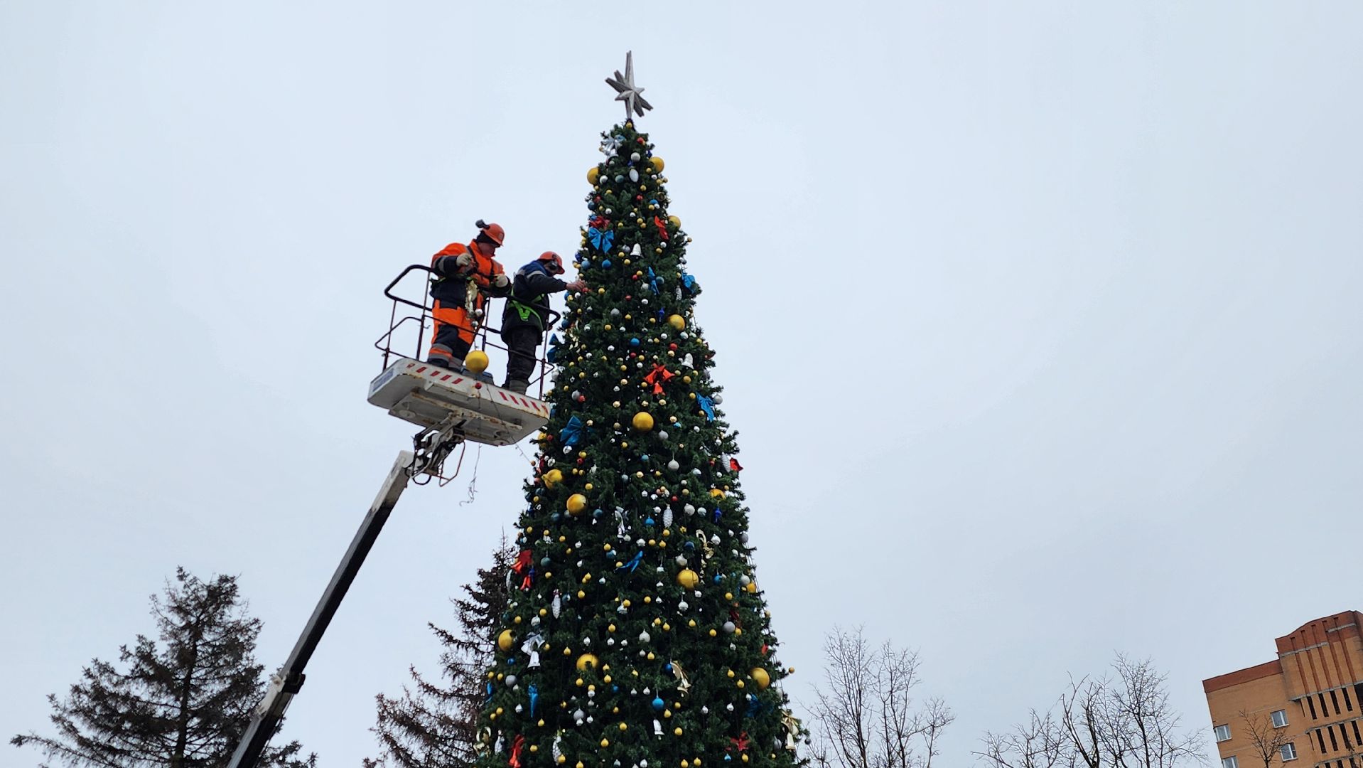 истра, благоустройство, демонтаж елок, вертикалки,